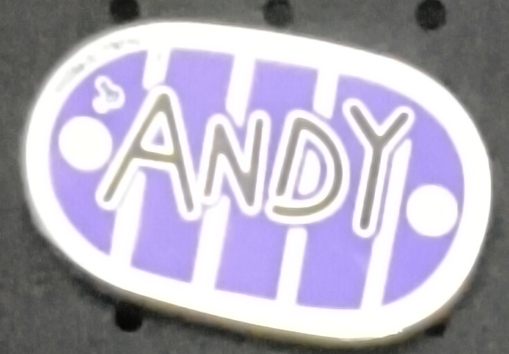 Buzz Lightyear Shoe Bottom Andy Name Toy Story Individual Disney Trading Pin New